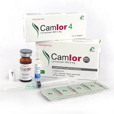 camlor-4-4-mg